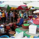 마산어시장 이미지