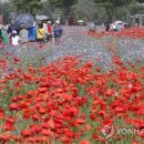 감천1동-9 이미지