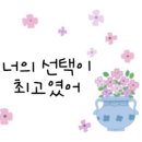 해드림케어
