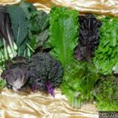 대실농장 이미지