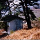 대촌1리 이미지