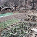 대지부동산중개인사무소 이미지