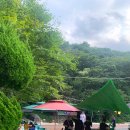 작괘로L | 부산근교 울산 작천정 계곡 평상 당일치기 l 황토속펜션 l 대여 후기및 가격