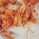 후켄통통치킨 이미지