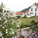 철수네집 이미지