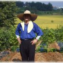 손주들농장 이미지