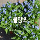 예향꽃농원 이미지