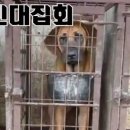 천마리농장 이미지