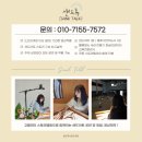 동면유치원 | [샌드톡| 경남 샌드아트] 양산 동면유치원 장애이해교육 / 장애인식개선 샌드아트 공연