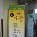 개랭이고들빼기마을 이미지