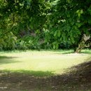 꽃과 그늘 이미지