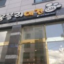 몽블리 애견카페 이미지