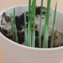 봄봄의뜰유치원 이미지