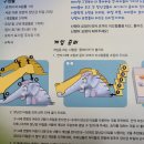 코끼리 놀이터 이미지