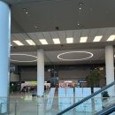 스페인어로 여행하기 | 아시아나 OZ511 바르셀로나 행 직항 후기 17열｜모바일 체크인부터 기내식, 좌석 후기까지