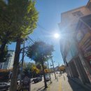 경기도 수원시 영통구 권선로 818 이미지