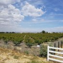 황소농장 이미지