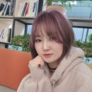 테디라인