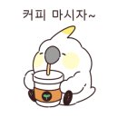 예뻐질:개&고양이카페 이미지