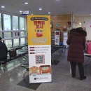 마홀수영장