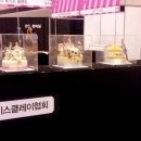클레이코리아 네이버블로그