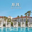 신라사우나 | 제주 신라호텔 특가 사우나 수영장 조식 뷔페 할인 후기