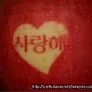 혜전약국 Daum카페