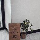 더봄 | 부산 강서구 명지 스튜디오:) 두돌 촬영 후기 '더봄 스튜디오'