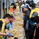 고려인삼영농조합쎈타 - 11510 | 고려인삼영농조합쎈타