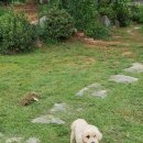 클로버 하우스 이미지