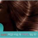모두오일 이미지