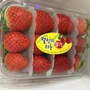 더드림청과야채