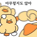 금빛대게,금빛새우 이미지