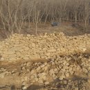 돌담하우스 이미지