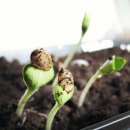 시립장현모아미래도어린이집 이미지