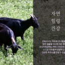 원기목장 네이버블로그