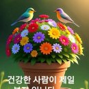 다부지게 미래지향적으로 이미지