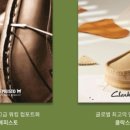 주식회사 금화 이미지