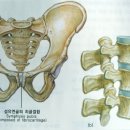 관절-척추 병원 갈 일 없다 이미지