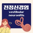[강남병원] 전정신경염 후기(증상,원인,치료) / [상갈분식] 강남병원 맛집