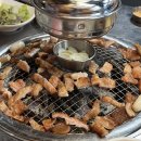 대구막창 - 경주시 | 대구막창