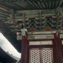 창경궁, 정조와 걷다 @가이드쿱 투어 후기