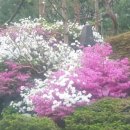 한티역약국 이미지