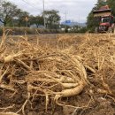 농지조성 이미지