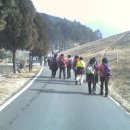 와룡산청룡사앞 이미지