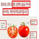2026년 8월 7일 신문을 통해 알게 된 것들 이미지