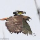 ㅌ..토루크 막토! [BGM] 이미지