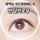 반달브로우 네이버블로그