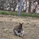 광주 패밀리랜드 우치동물원 산책후기