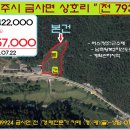 여주-0722 Daum카페